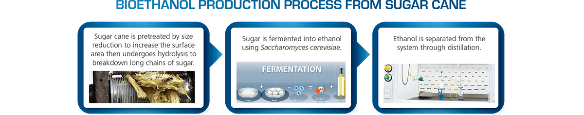 Bioethanol production process from sugar cane